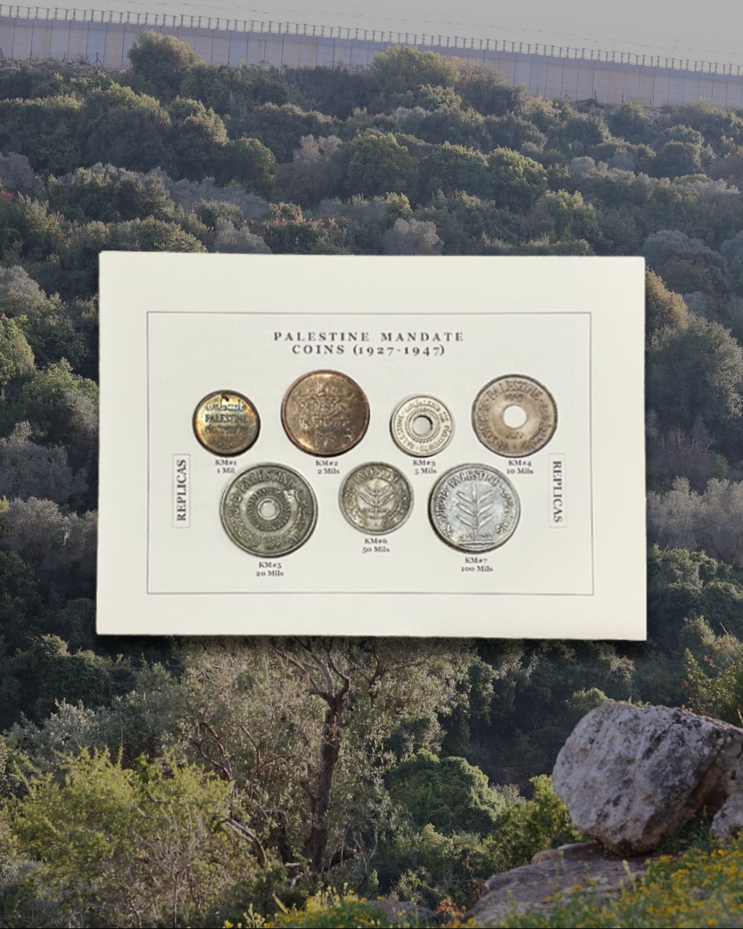 Baba's Replica Palestinian Coin Collection