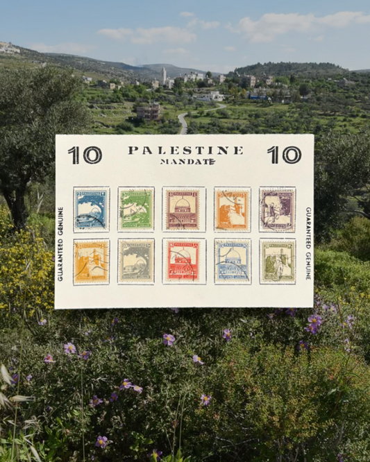 Baba's Authentic Pieces of Palestine Stamp Postcard